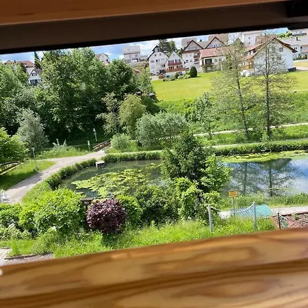 Апартаменты Haus Tannenzaepfle - Schwarzwald Gratis!